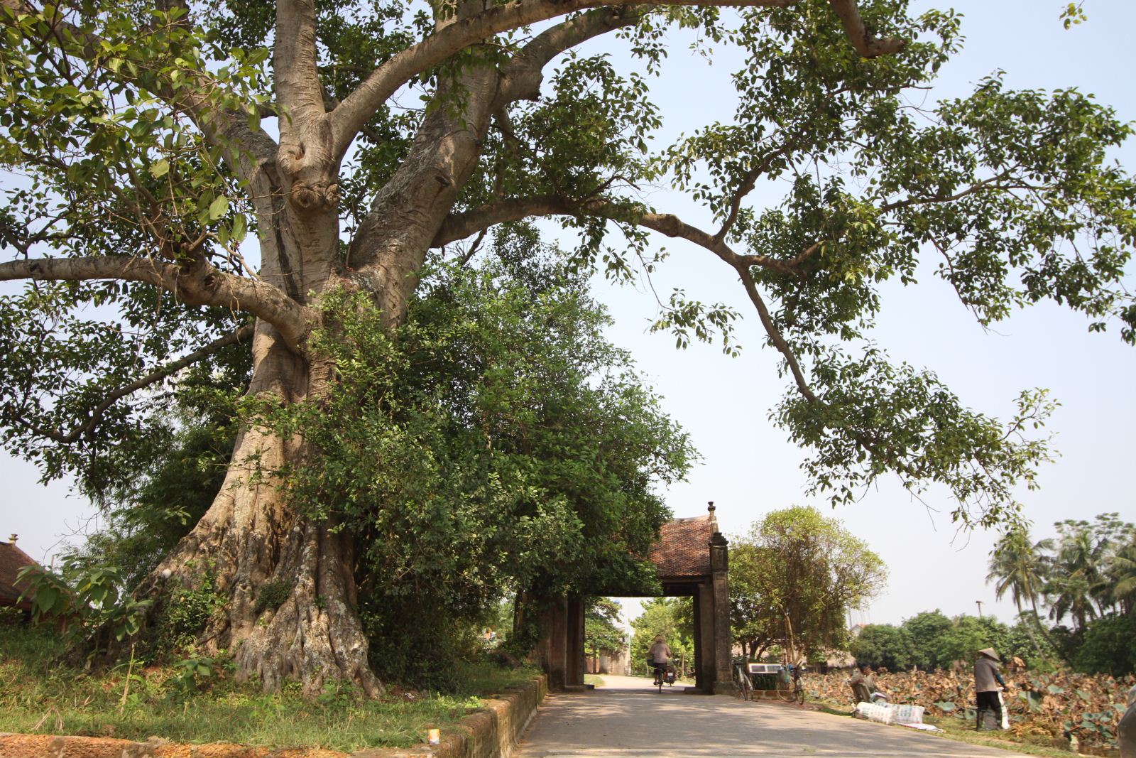 Mong Phu village gate